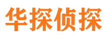 延平侦探公司